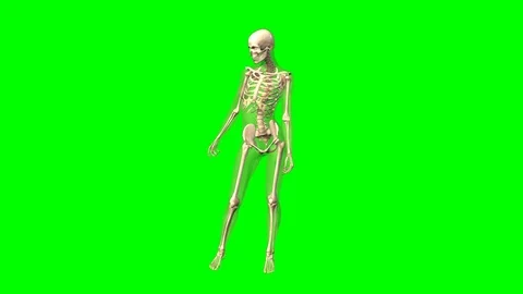 Rotation of a female skeleton Stock Footage 114310189
