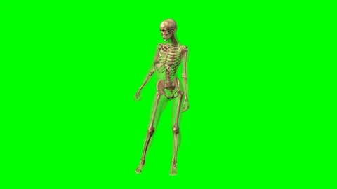 Rotation of a female skeleton Stock Footage 114310205