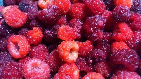 Rotation Fresh Red Raspberry Background. Ripe fresh and juicy organic 動画素材 111814769