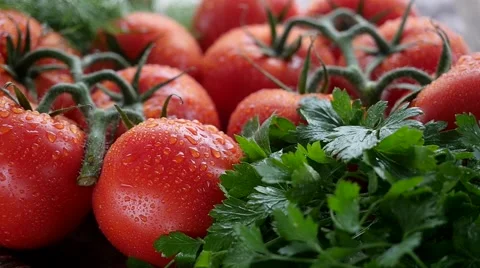 Rotation Fresh Tomatoes Stock Footage 55493164