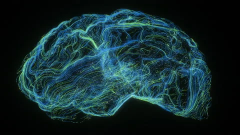 Rotation human brain big data flow innovation programming binary generated Stock Footage 194642526