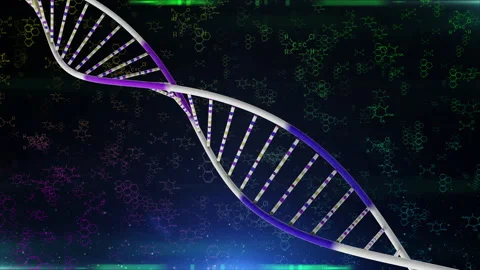 Rotation of a multicolor DNA molecule Stock-Footage 170716674