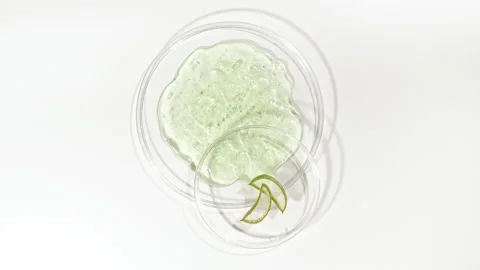 Rotation of Petri dishes with Cosmetics Samples Aloe Vera on a White background Stock Footage 169599129