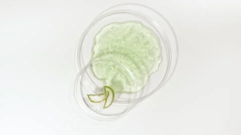 Rotation of Petri dishes with Cosmetics Samples Aloe Vera on a White background Stock-Footage 170720737