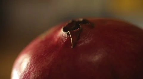 Rotation Pomegranate in Studio Video stock 59762439