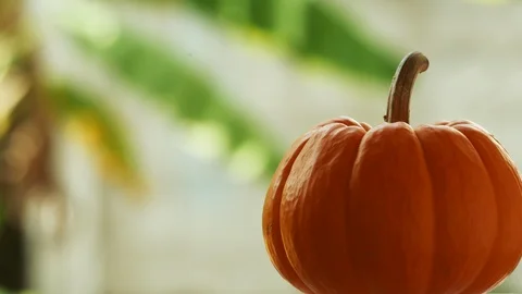 Rotation pumpkin Video stock 117270295
