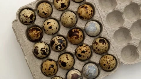 Rotation of quail eggs in cardboard packaging. Top view Stock Footage 221122448