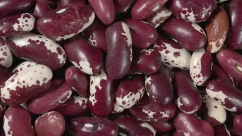 Rotation of red beans close up. Organic legumes. Stock Footage 143786557