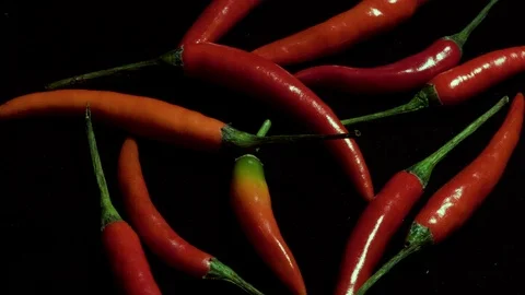 Rotation of red hot pepper Stock Footage 104047605