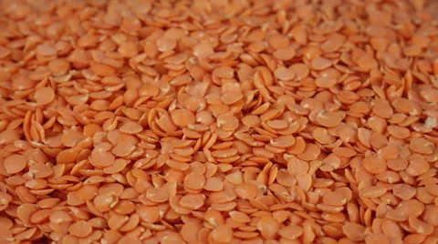 Rotation of a Red Lentil (Seamless Loopable) Stock Footage 59968883