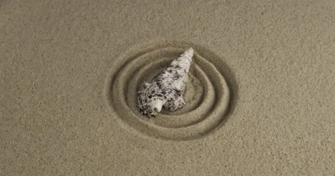 Rotation of a seashell lying in the center of sand circles. With space for Stock Footage 169434454