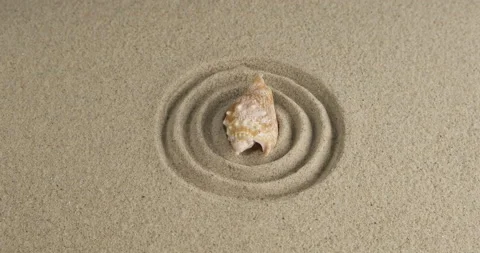 Rotation of a seashell lying in the center of sand circles. Close-up Stock Footage 171814399