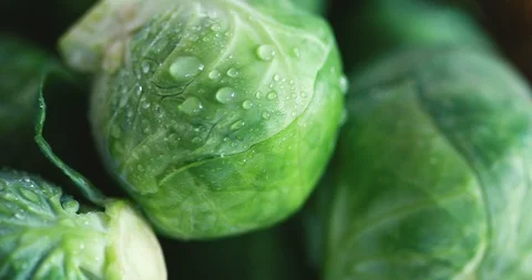 Rotation shot of close up fresh green Brussel Sprouts in the basket Stock Footage 103295780