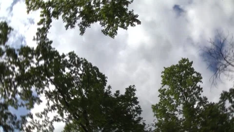 Rotation sky with the trees Видео 240460021