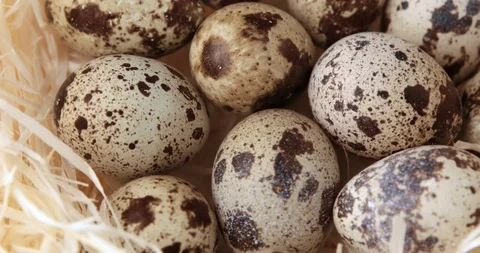 Rotation of small quail eggs Stock Footage 104962592