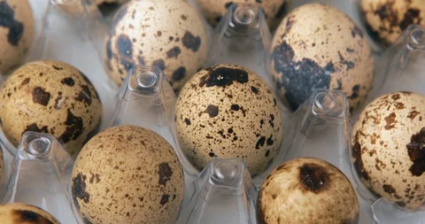 Rotation of small quail eggs Stock Footage 104964403