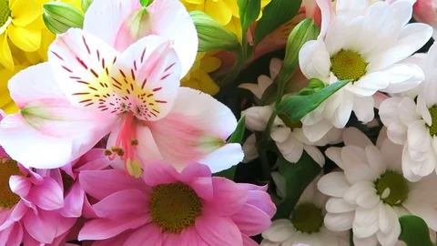 Rotation of Spring Flowers 7 Stock Footage 77874210