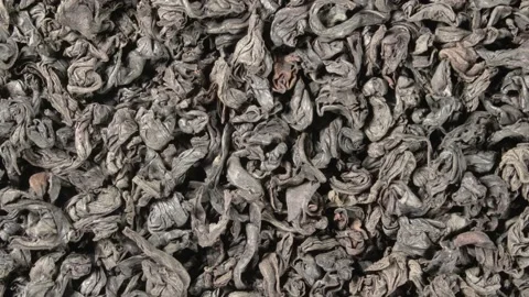 Rotation of tea close-up. Dry tea tree leaves. Tea brewing. Stock Footage 143788359