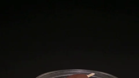 Rotation of a tray with ice cream Stock Footage 74506861