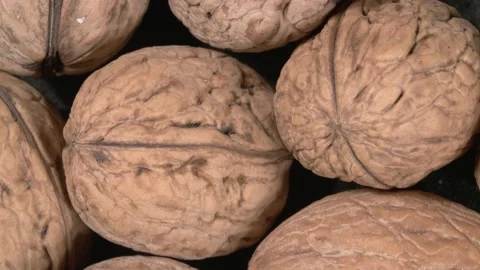 Rotation of walnuts close up. Sink close-up. Extreme macro. Stockbeeldmateriaal 143571157