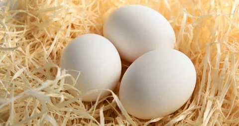 Rotation of White Eggs Stock Footage 105773671