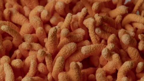 Rotational Macro Capture of Layered Cordyceps Surface Stock Footage 331568083