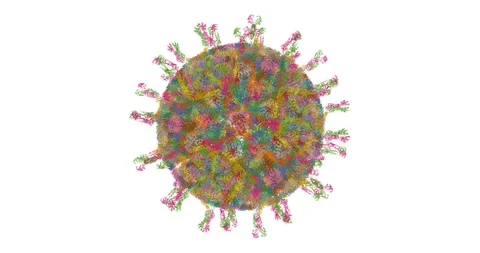Rotavirus CryoEM Particle – Outside Structure View 스톡 동영상 307443684