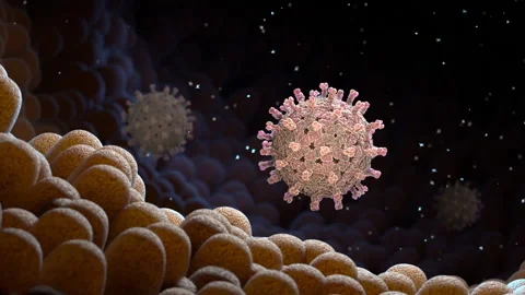 Rotavirus in the stomach Stock Footage 228820574