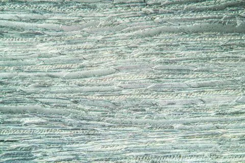 Rotbuche Stock Photos