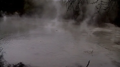 Rotorua mudpool bubbling Stock Footage 90211333