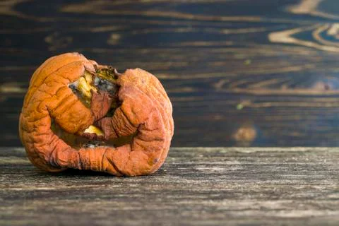 Rotted pumpkins Stock Photos
