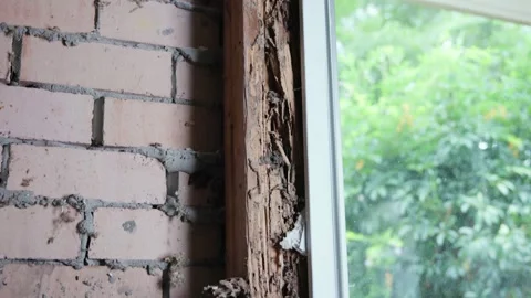 A rotten and damaged window stud affected by termites. Stock Footage 333299035