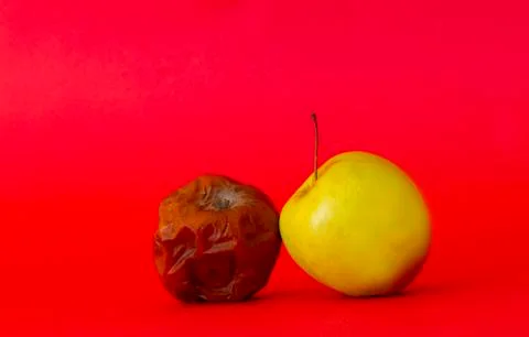 Rotten apple on a colored background 스톡 사진