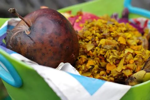 A rotten apple for the compost bin Stock Photos