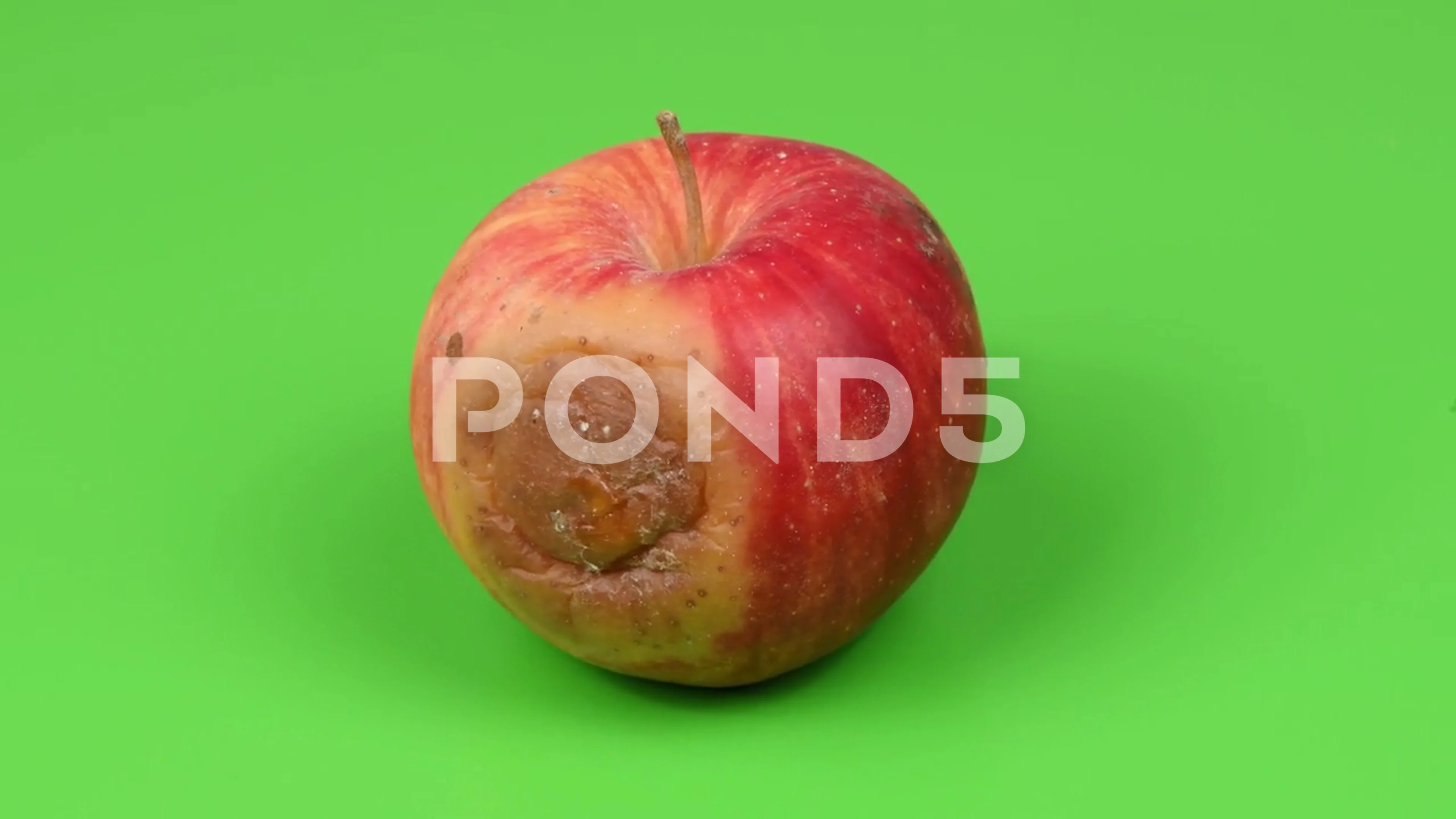 Rotten Apple | 3D model