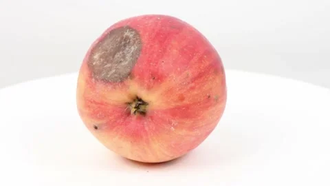 Rotten apple isolated on white. Side view. Stock Footage 168484880