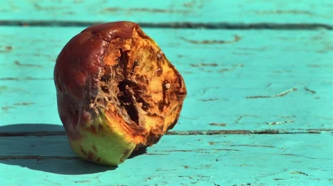 Rotten apple lying on the table villages Stock Footage