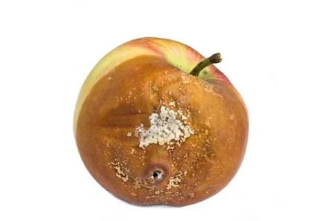 Rotten apple Stock Photos