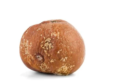 Rotten apple Photos