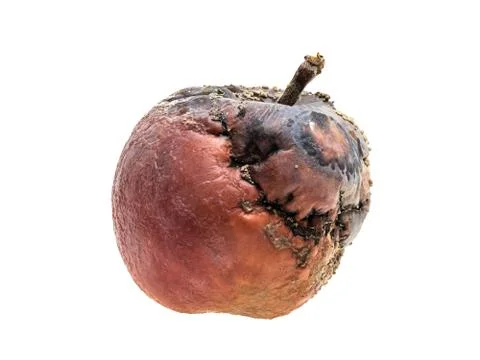 Rotten apple Stock Photos