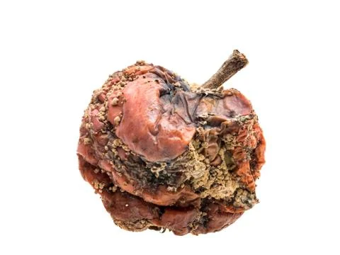 Rotten apple Stock Photos