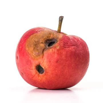 Rotten Apple Stock Photos