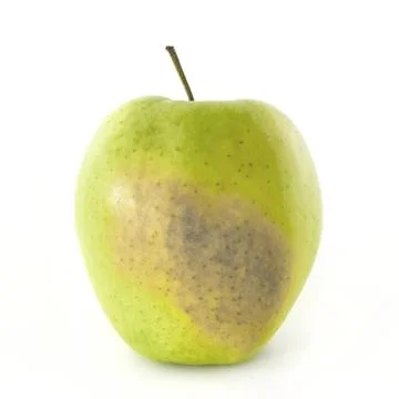 Rotten apple Stock Photos