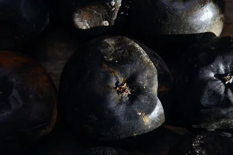 Rotten apple Stock Photos