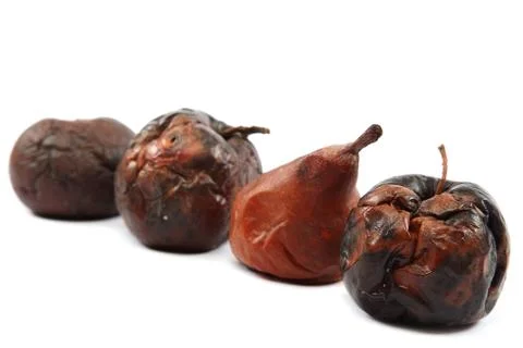 Rotten apple on white background. Stock Photos