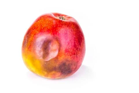 Rotten apple on the white background Stock Photos