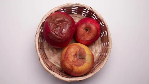 Rotten apples in the basket Stock Footage 127573605