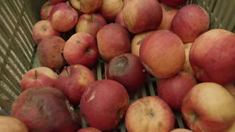 Rotten apples in a green crate in a small shop, close-up Stock Footage 149784346