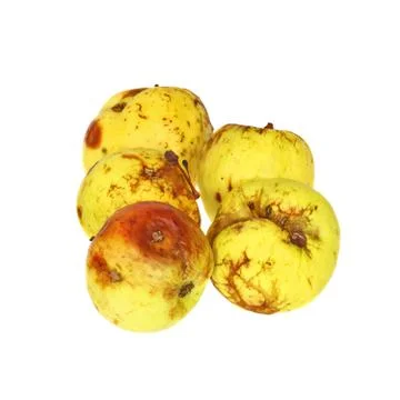 Rotten apples Stock Photos