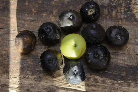 Rotten apples Stock Photos
